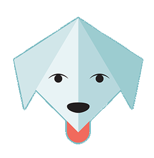 Scoodle Play